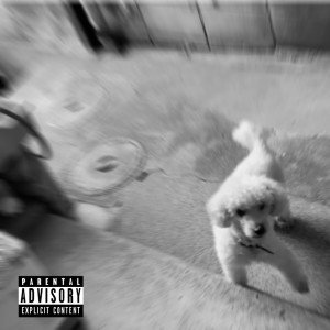 Album santé from 
