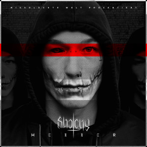 收听Shocky的Frau die mich rettet歌词歌曲