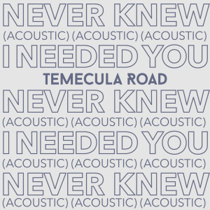 ดาวน์โหลดและฟังเพลง Never Knew I Needed You (Acoustic) พร้อมเนื้อเพลงจาก Temecula Road