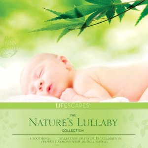 ดาวน์โหลดและฟังเพลง Calming Rain & Thunder พร้อมเนื้อเพลงจาก Dan Gibson