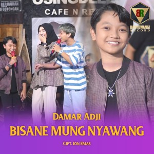 Dengarkan BISANE MUNG NYAWANG lagu dari Damar Adji dengan lirik
