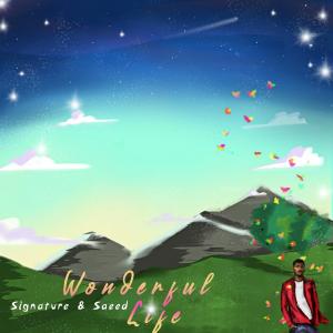 Listen to Wonderful life (feat. Saeed) (Remastered|Explicit) song with lyrics from Sushiy