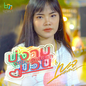 ดาวน์โหลดและฟังเพลง บ่งามดอกแต่หยอกม่วน พร้อมเนื้อเพลงจาก เบลล์ อาทิตติยา