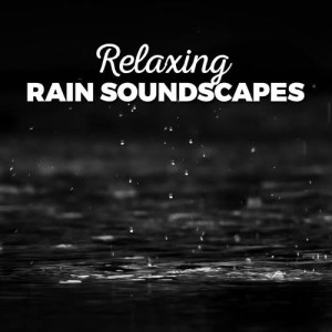 收聽Calming Sounds的Morning Raindrops歌詞歌曲