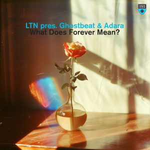 收聽LTN的What Does Forever Mean?歌詞歌曲