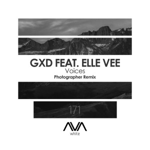 Voices (Photographer Remix)