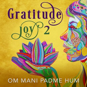 Gratitude Joy 2