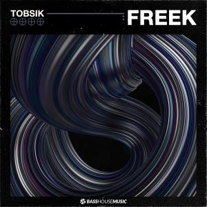 Listen to Freek song with lyrics from TOBSIK