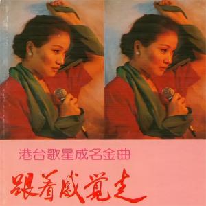 Listen to 跟着感觉走 song with lyrics from 赵莉