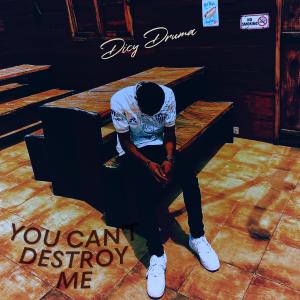 Dicy Druma的专辑you can't destroy me