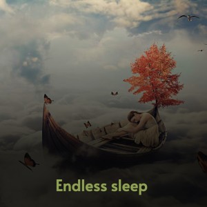 Various Artists的專輯Endless Sleep (Explicit)
