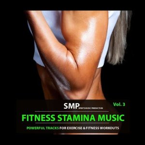 Various Artists的專輯Fitness Stamina Music, Vol. 3