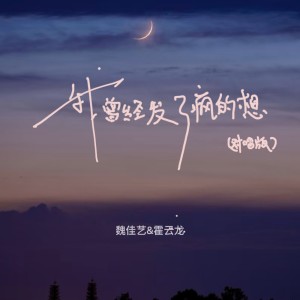 Album 我曾经发了疯的想（对唱版） from 魏佳艺