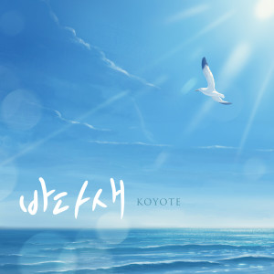 อัลบัม Sea bird ศิลปิน KOYOTE