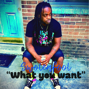 Album What You Want (Explicit) from Swoleafool