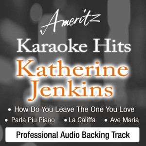 ดาวน์โหลดและฟังเพลง Bring Me To Life (In The Style of Katherine Jenkins) พร้อมเนื้อเพลงจาก Ameritz Karaoke Band