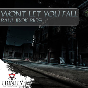ดาวน์โหลดและฟังเพลง Wont Let You Fall พร้อมเนื้อเพลงจาก Raul Irok Rios