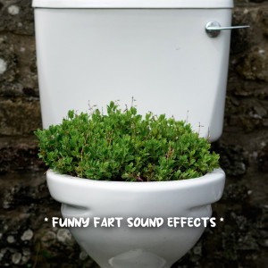 Listen to sounds to help you poop song with lyrics from Fart Sound Effect