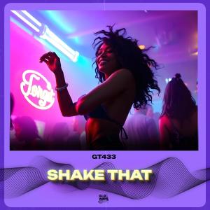 Listen to Shake That (Techno) song with lyrics from TEKNODYN