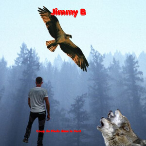 Album Coup de pieds dans le vent from Jimmy b