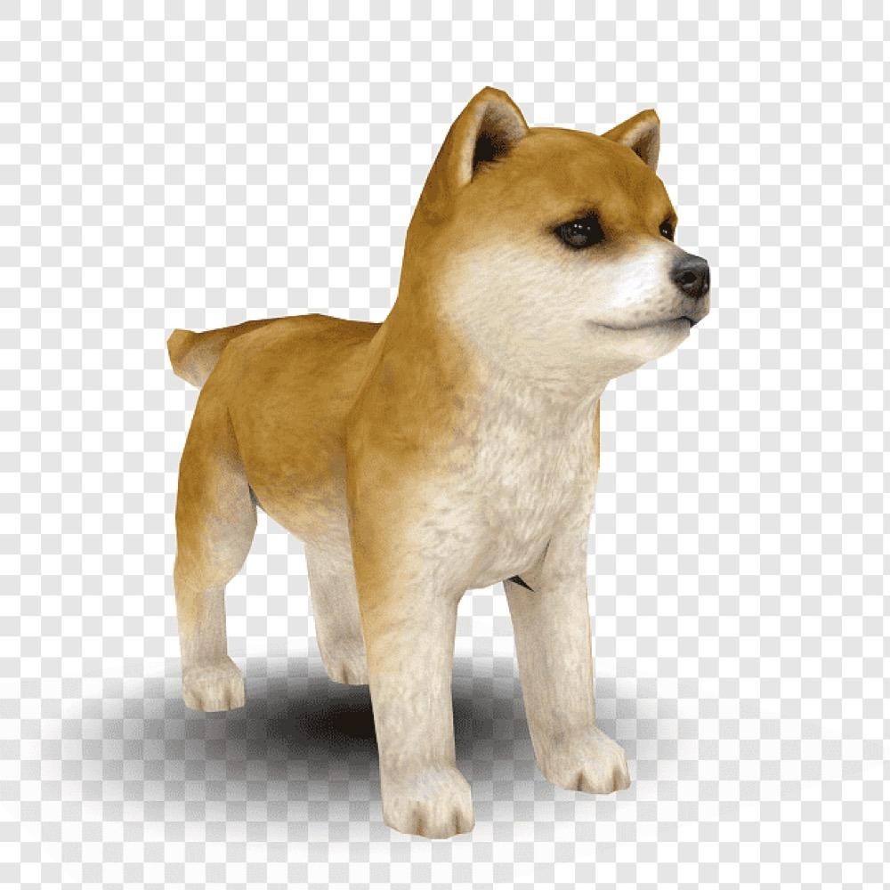 Nintendogs
