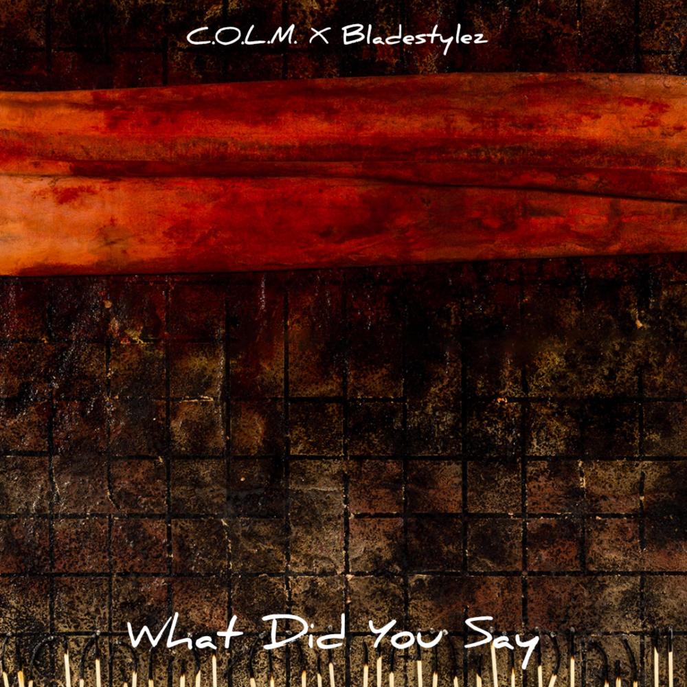 What Did You Say (feat. Colm) (Radio Edit|Explicit)