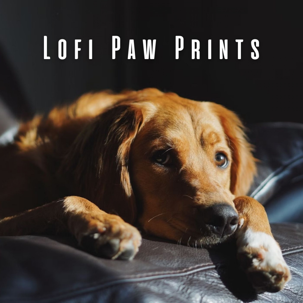Soothing Lofi Canine Vibes
