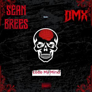 อัลบัม Lose My Mind (feat. DMX) [Explicit] ศิลปิน DMX