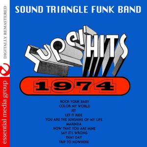 อัลบัม Super Hits 1974 (Digitally Remastered) ศิลปิน Sound Triangle Funk Band