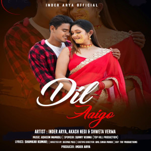 Album Dil Aaige from Inder Arya