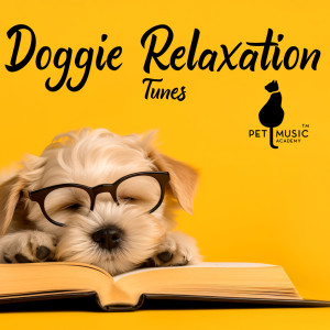 Album Doggie Relaxation Tunes from Pet Music Academy