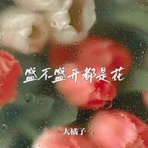 收聽大橘子的盛不盛開都是花歌詞歌曲