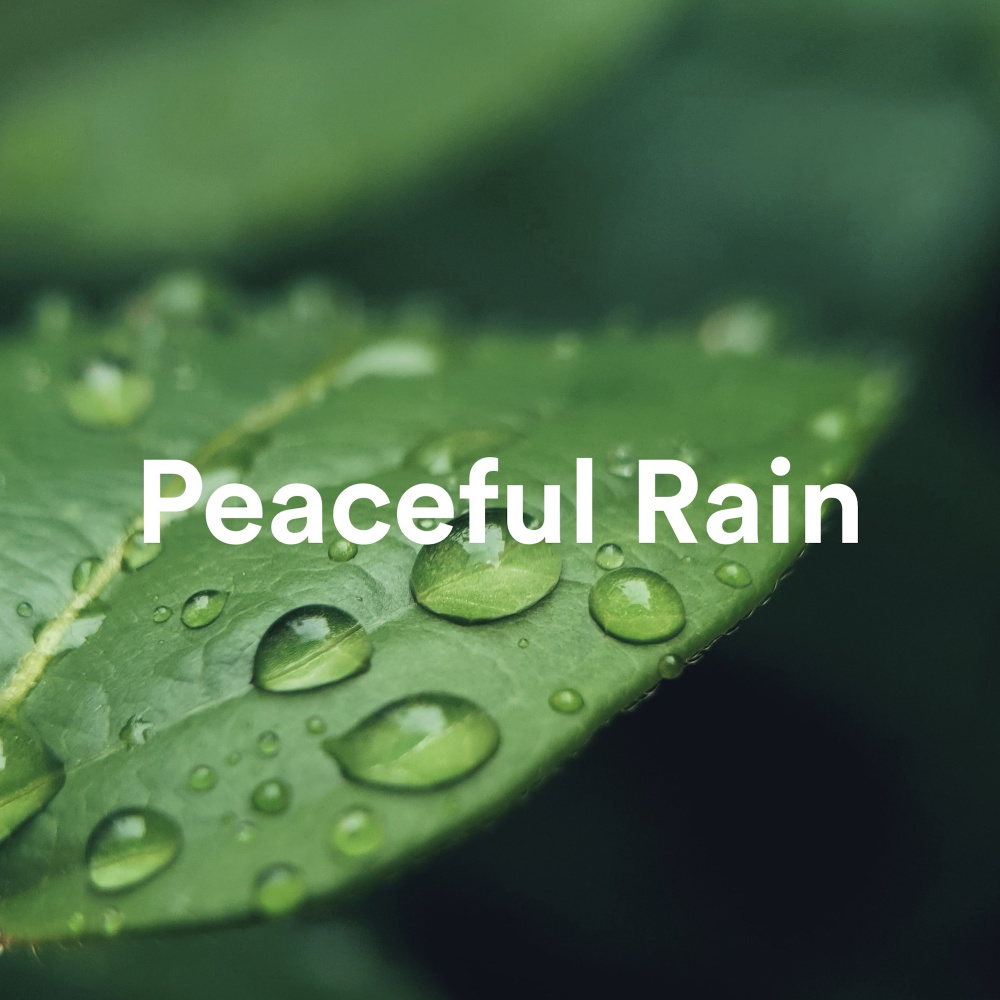 Meditative Rain
