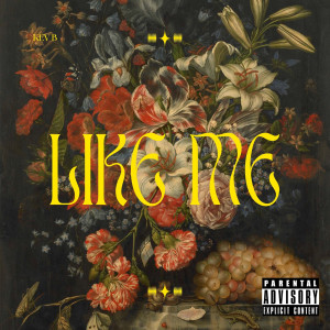 Kev B的专辑Like Me (Explicit)