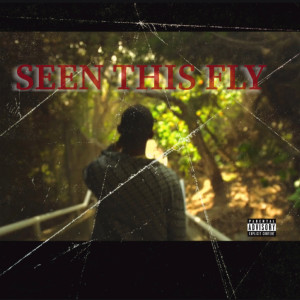 Listen to Seen This Fly (Explicit) song with lyrics from Ys-Perignon'