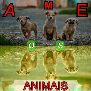 Marcos Martins的專輯Ame os Animais