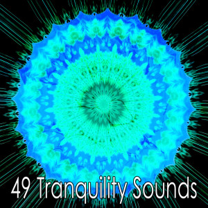 Album 49 Tranquility Sounds oleh Meditation Spa