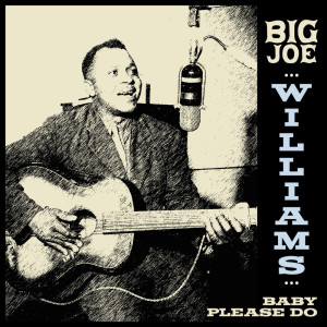 Album Big Joe Williams - Baby Please Do from Big Joe Williams