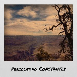 Album Percolating Constantly from Various