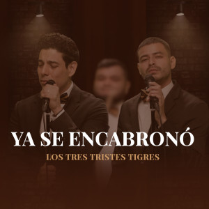 收聽Los Tres Tristes Tigres的Ya Se Encabronó歌詞歌曲