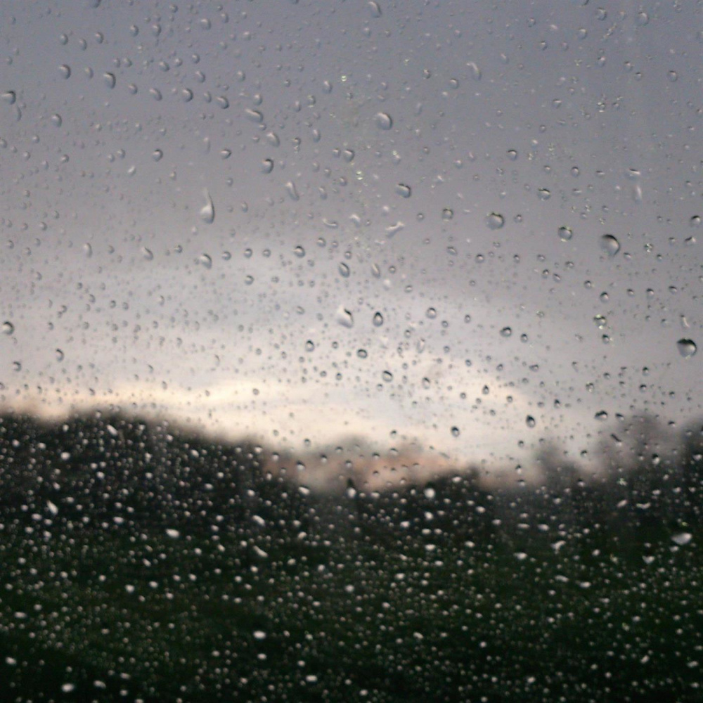 The Rain