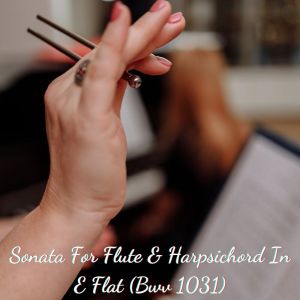 Album Sonata For Flute & Harpsichord In E Flat (Bwv 1031) from Paul Angerer