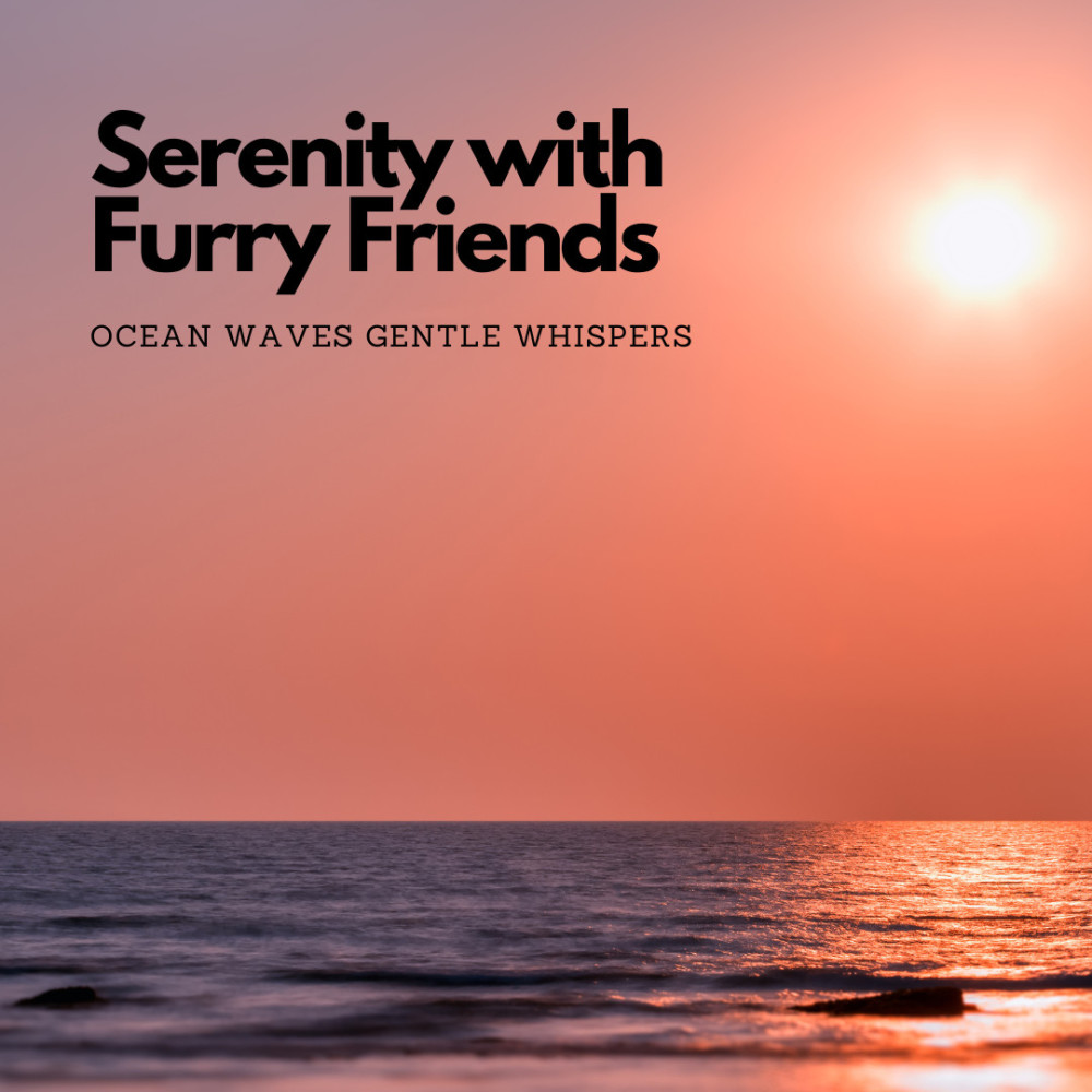 Pets Find Bliss Ocean Sounds