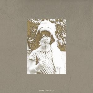 ดาวน์โหลดและฟังเพลง Lumina พร้อมเนื้อเพลงจาก Niall Byrne