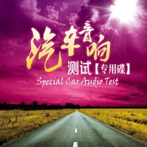 อัลบัม 汽车音响测试专用碟 ศิลปิน Various Artists