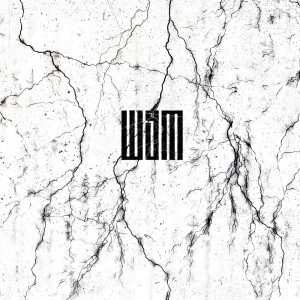 Listen to Шум (prod. EazyBeats) song with lyrics from LVXY