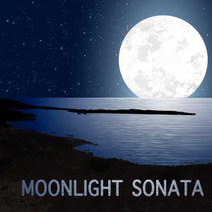 อัลบัม Moonlight Sonata ศิลปิน Sleep Baby Sleep
