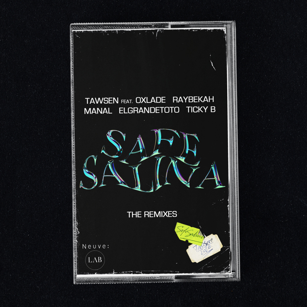 Safe Salina (Italian Remix) (Italian Remix|Explicit)