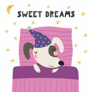 Listen to Peter Piper (Lullaby Version) song with lyrics from Lullaby Babies