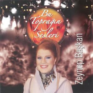 收聽Zeynep Başkan的Dersini Almışta歌詞歌曲